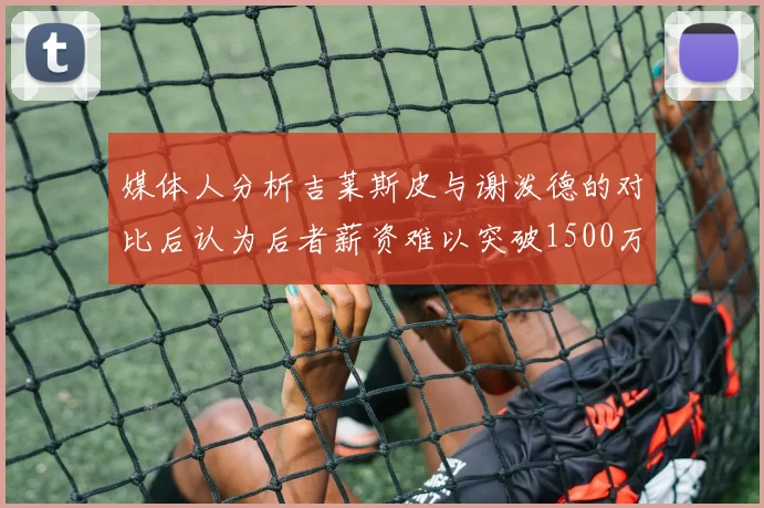 媒体人分析吉莱斯皮与谢泼德的对比后认为后者薪资难以突破1500万